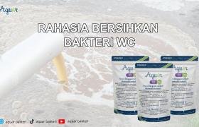 Obat Bakteri WC