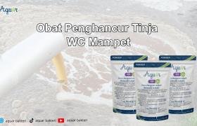 Obat Penghancur Tinja WC Mampet