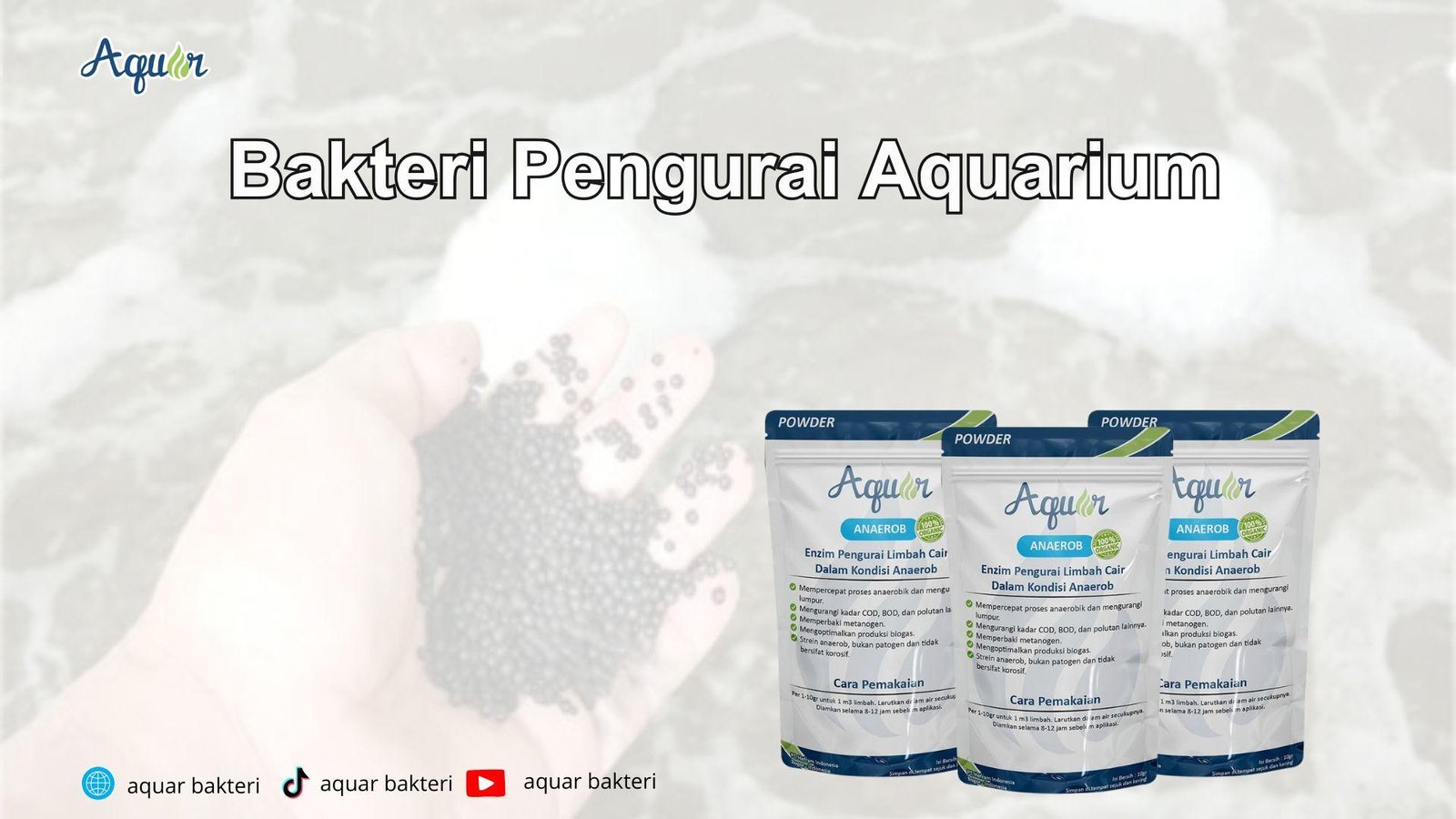 Banner Web Aquar