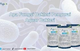 Apa Fungsi Bakteri Pengurai