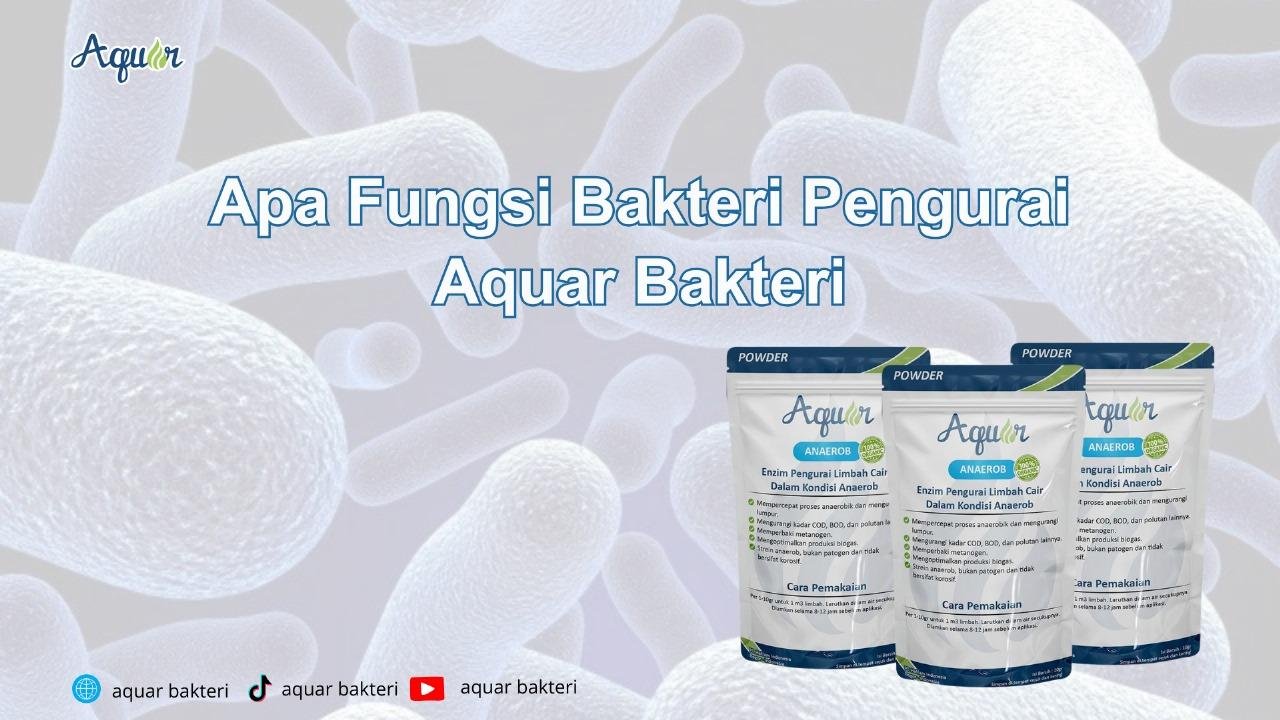 Apa Fungsi Bakteri Pengurai