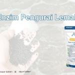 Enzim Pengurai Lemak