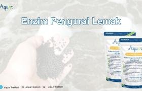 Enzim Pengurai Lemak