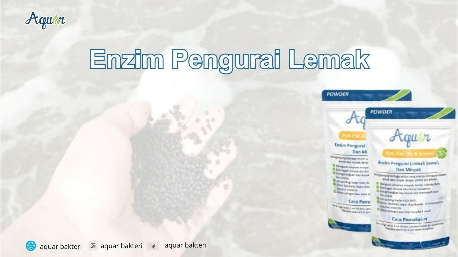 Enzim Pengurai Lemak