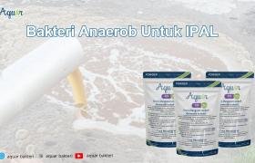 Bakteri Anaerob Untuk IPAL