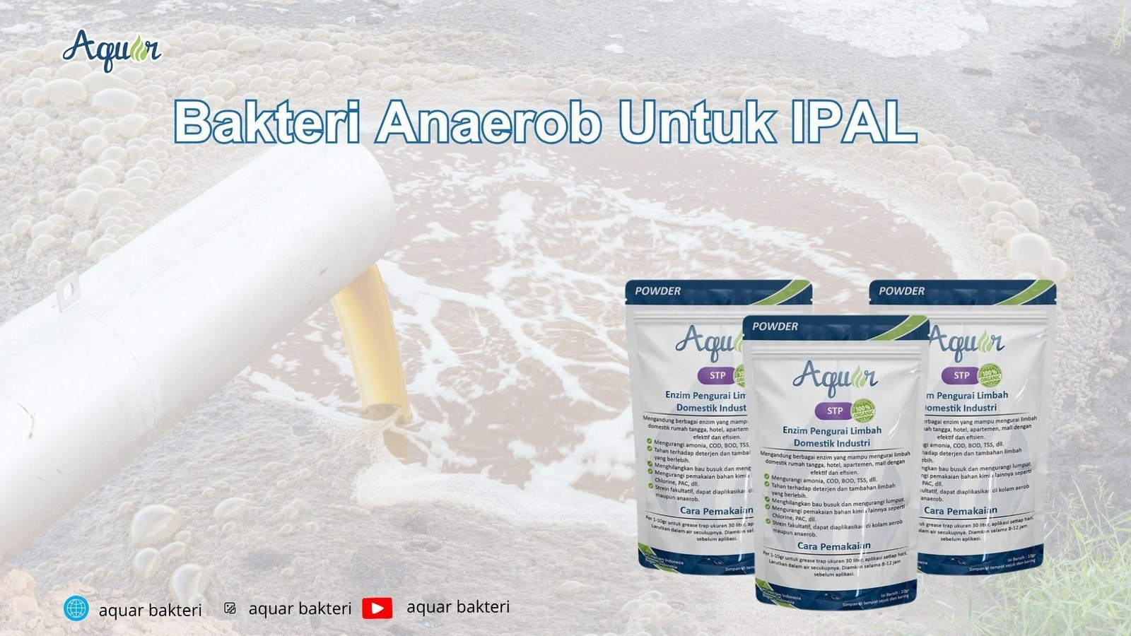 Bakteri Anaerob Untuk IPAL
