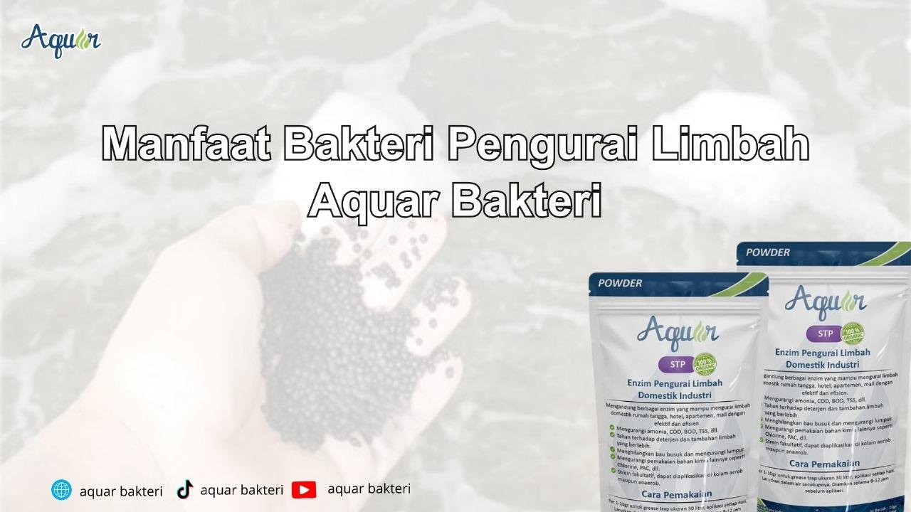 bakteri untuk limbah