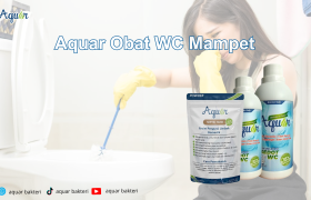 Aquar Obat WC Mampet