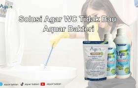 Solusi Agar WC Tidak Bau