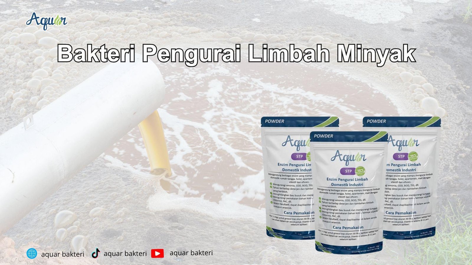 Solusi Agar WC Tidak Bau