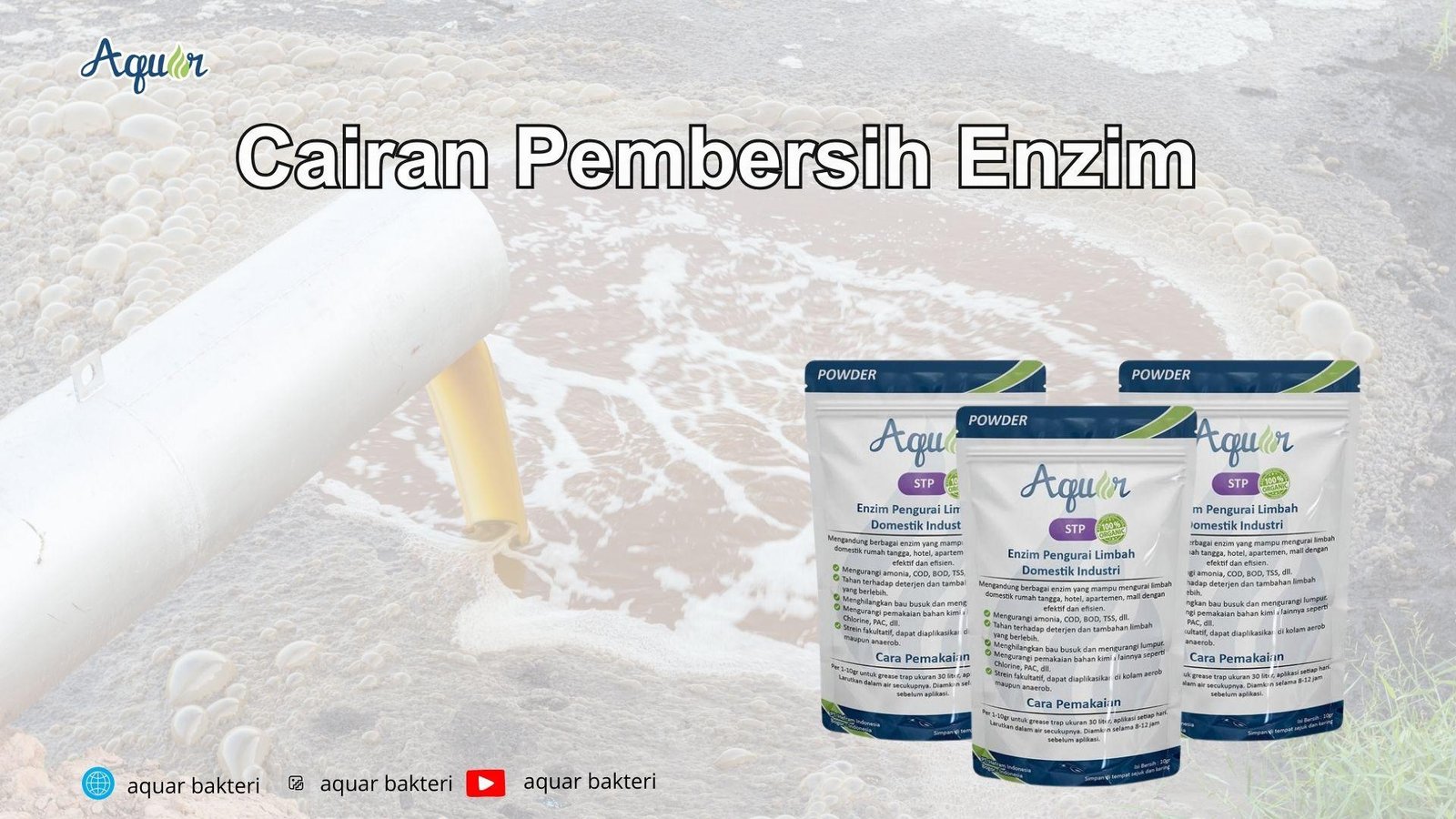 Solusi Aquarium Berlumut