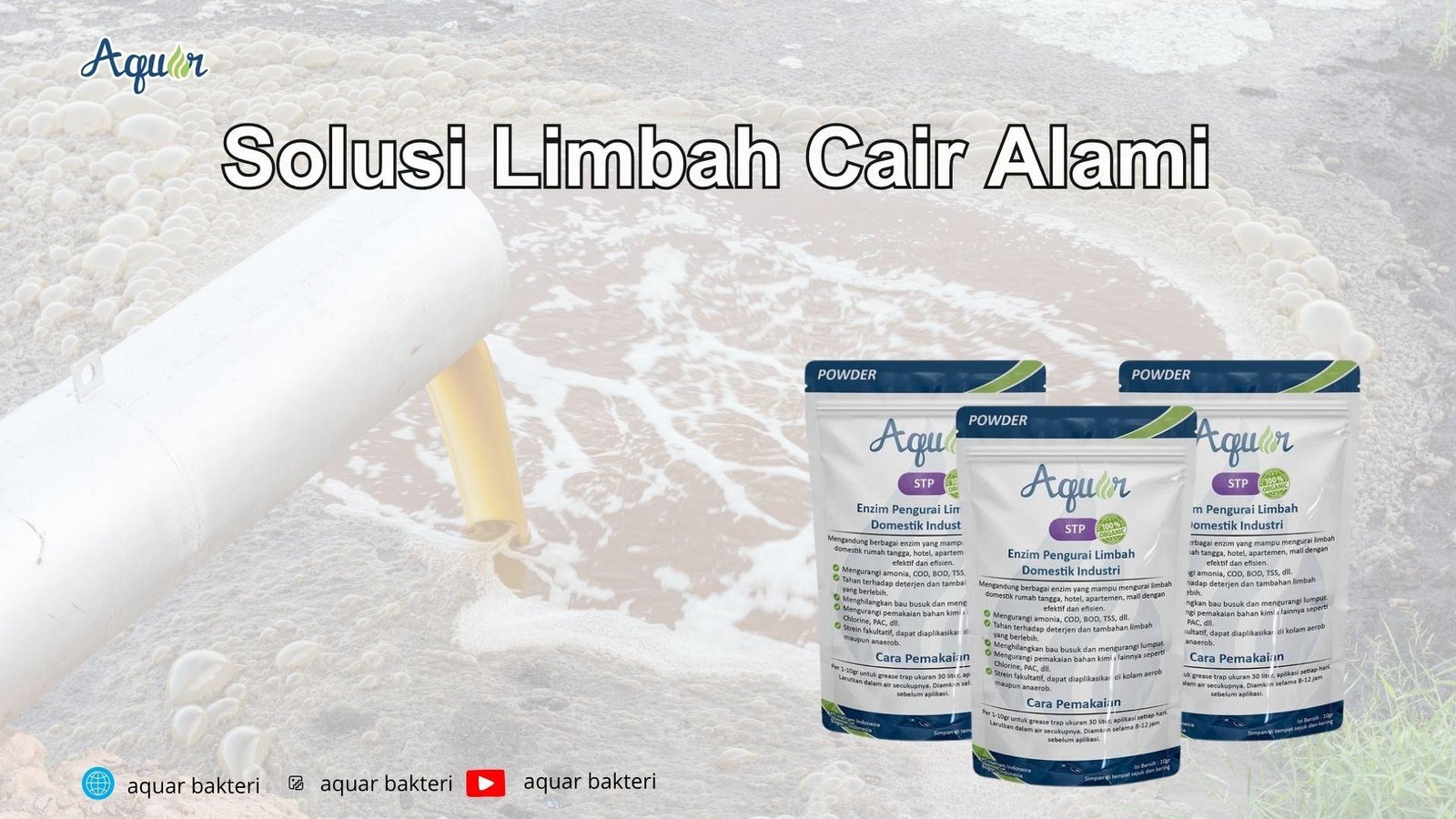 Solusi Akuarium Keruh