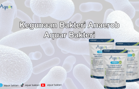Kegunaan Bakteri Anaerob