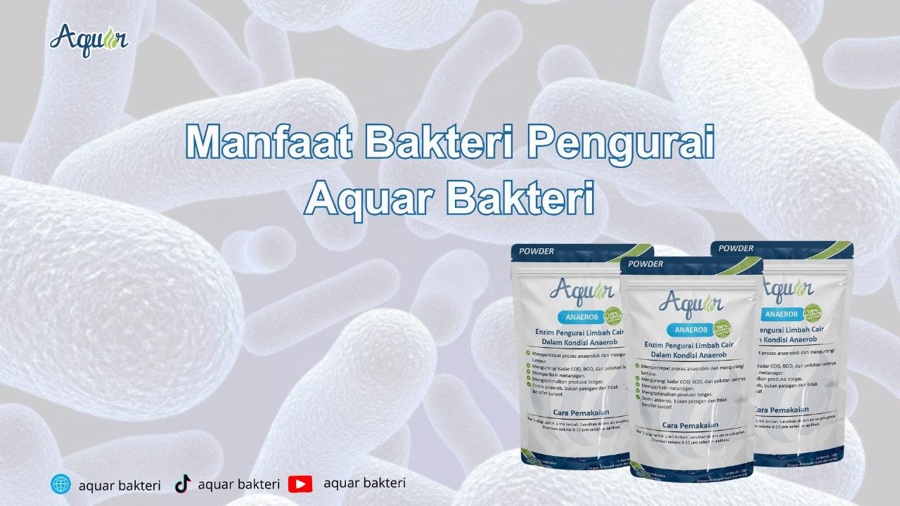 Manfaat Bakteri Pengurai