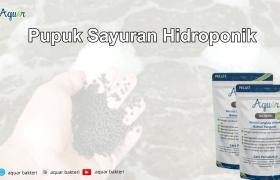 Pupuk Sayuran Hidroponik