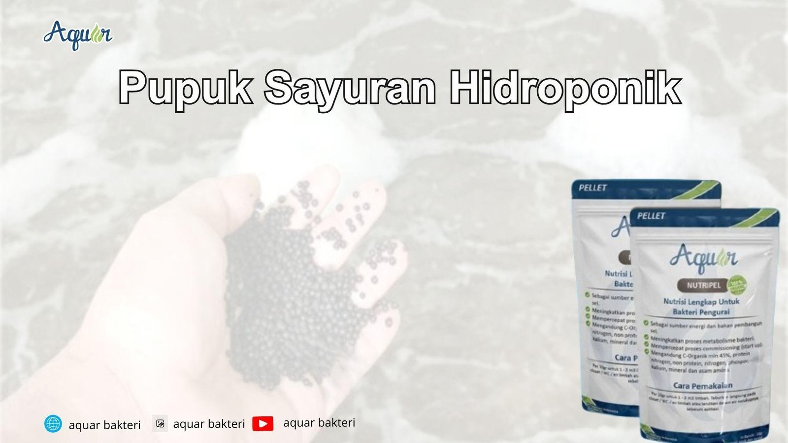 Pupuk Sayuran Hidroponik