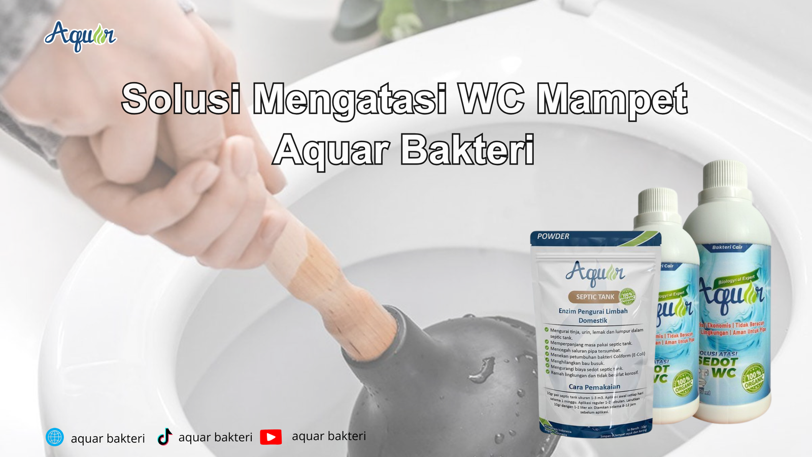 Solusi Mengatasi WC Mampet