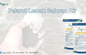 Pelarut Lemak Saluran Air