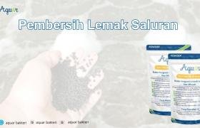 Pembersih Lemak Saluran