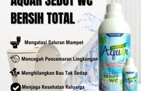 Solusi WC Mampet Tanpa Sedot WC