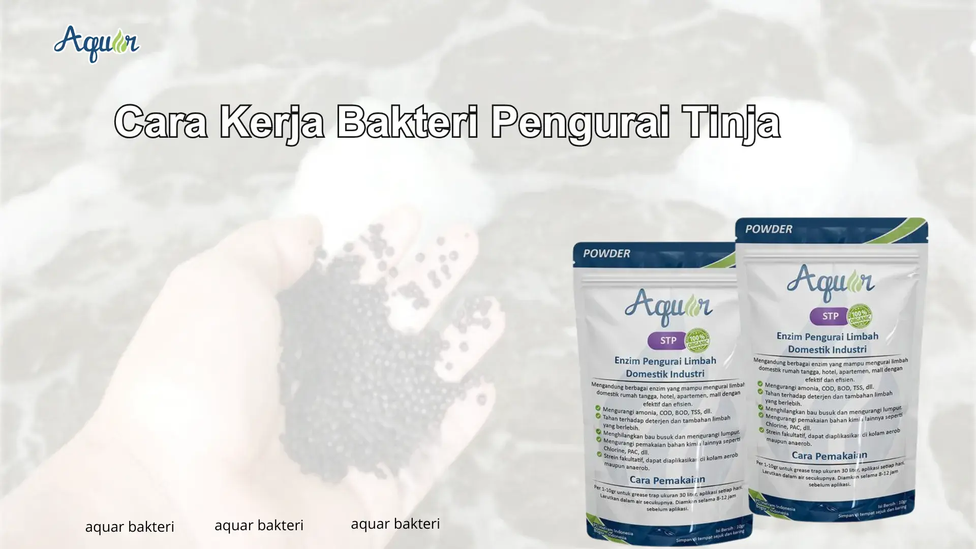 Cara Kerja Bakteri Pengurai Tinja