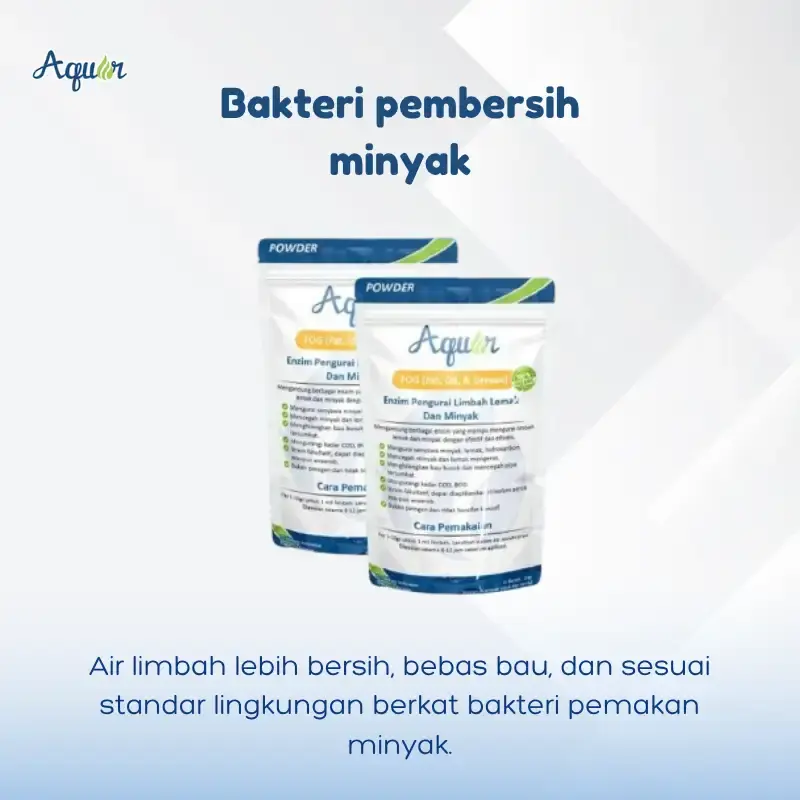 Aquar Fog Bakteri pembersih minyak