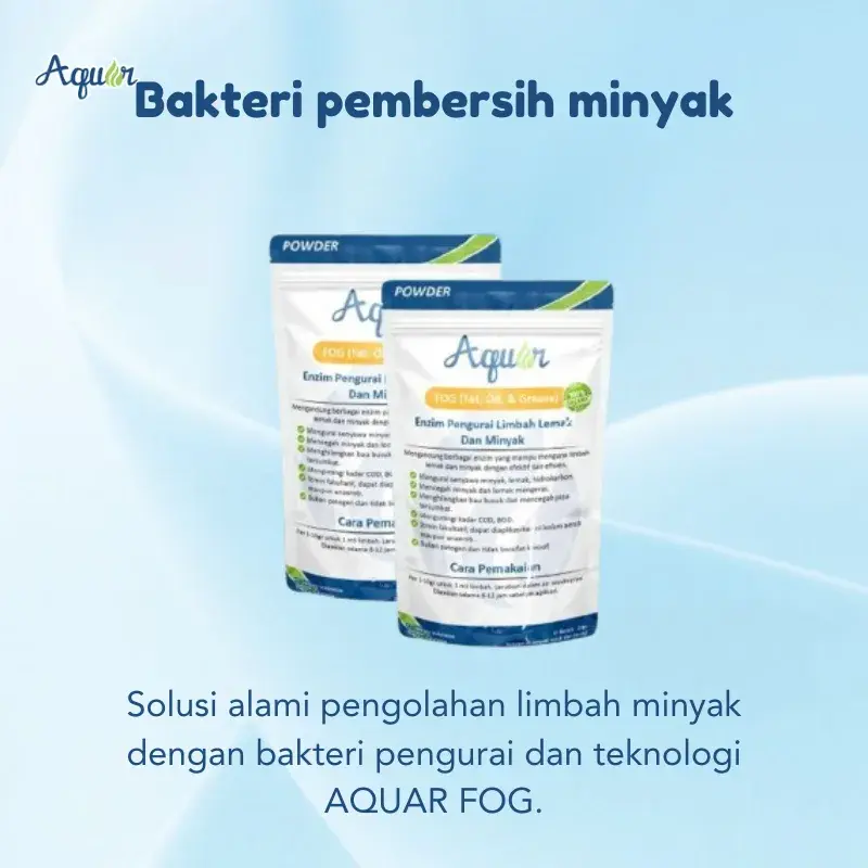 Bakteri pembersih minyak