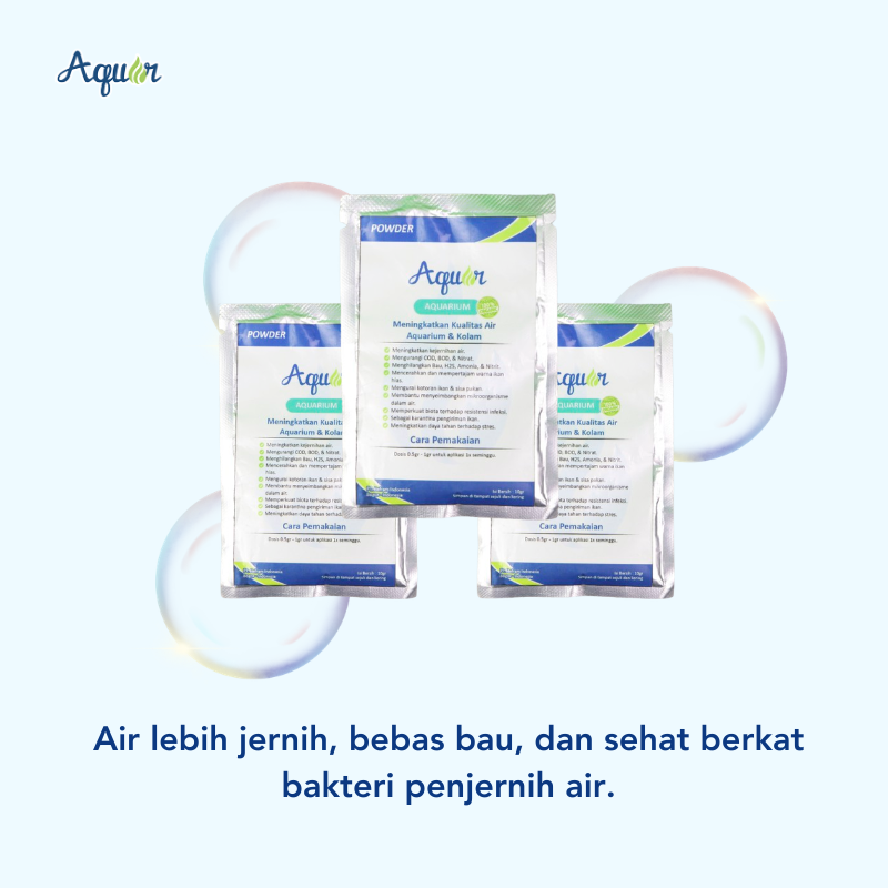 Bakteri Penjernih Air (1)