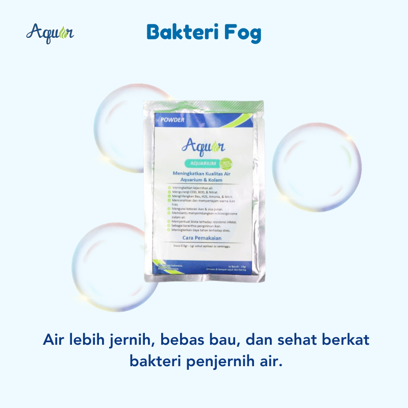 Manfaat Bakteri Fog