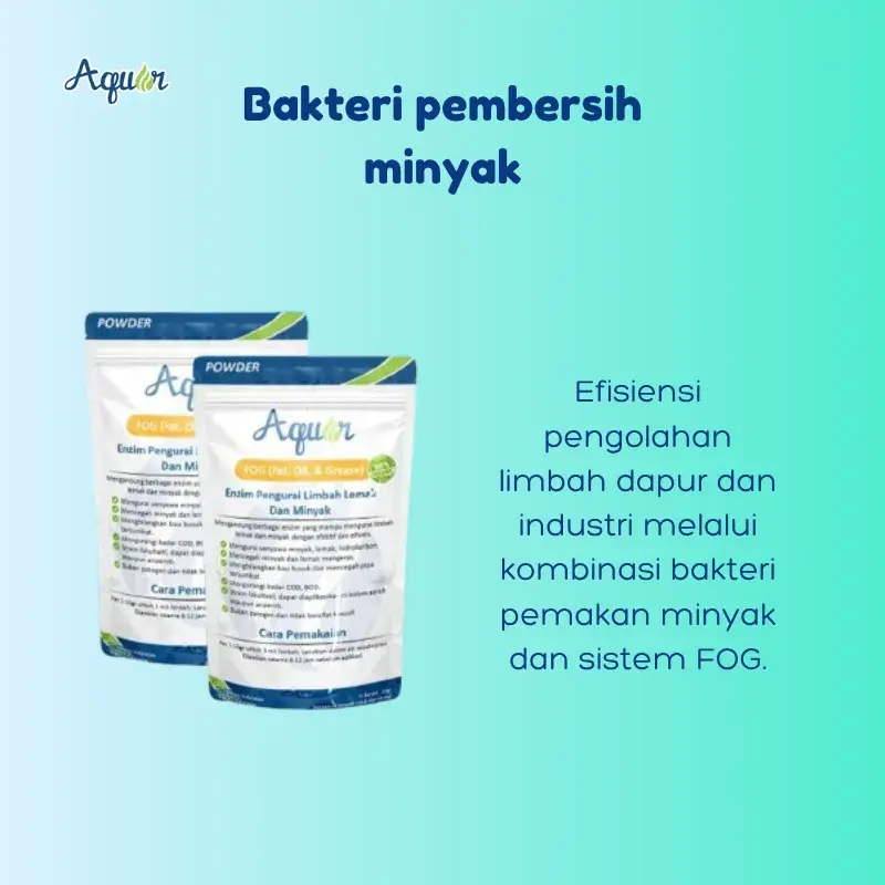 pembersih minyak