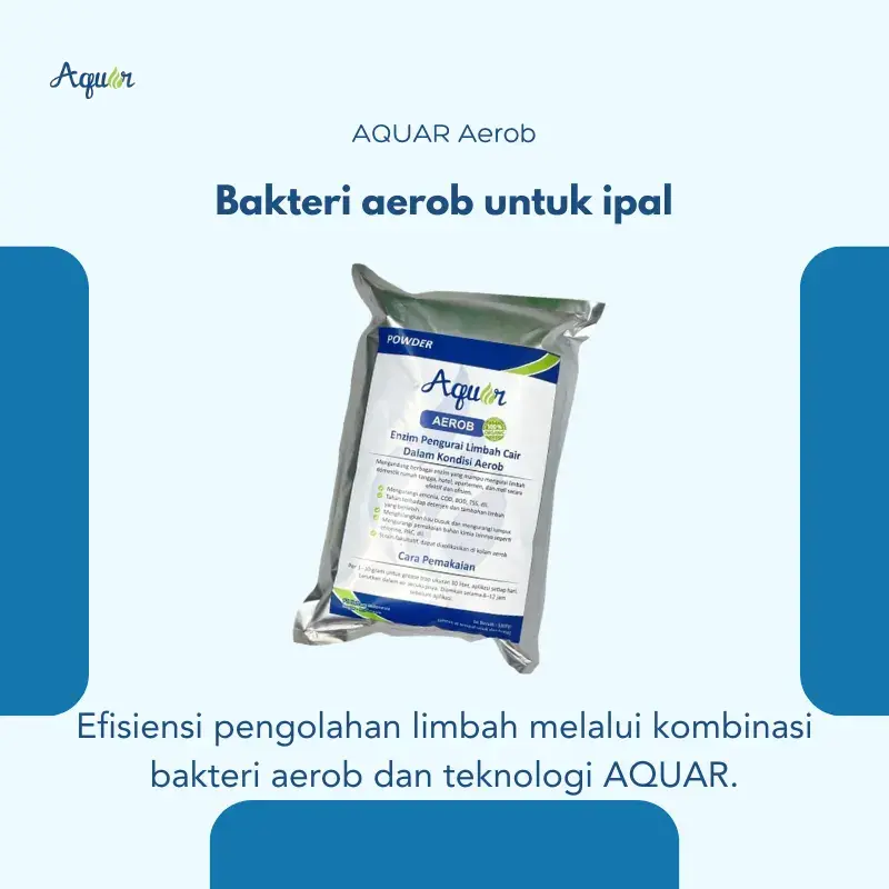 Bakteri aerob-1
