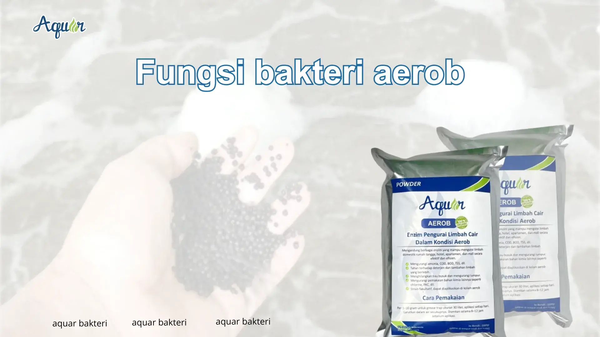Fungsi bakteri aerob