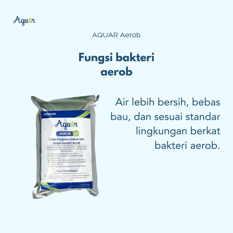 Fungsi bakteri aerobb