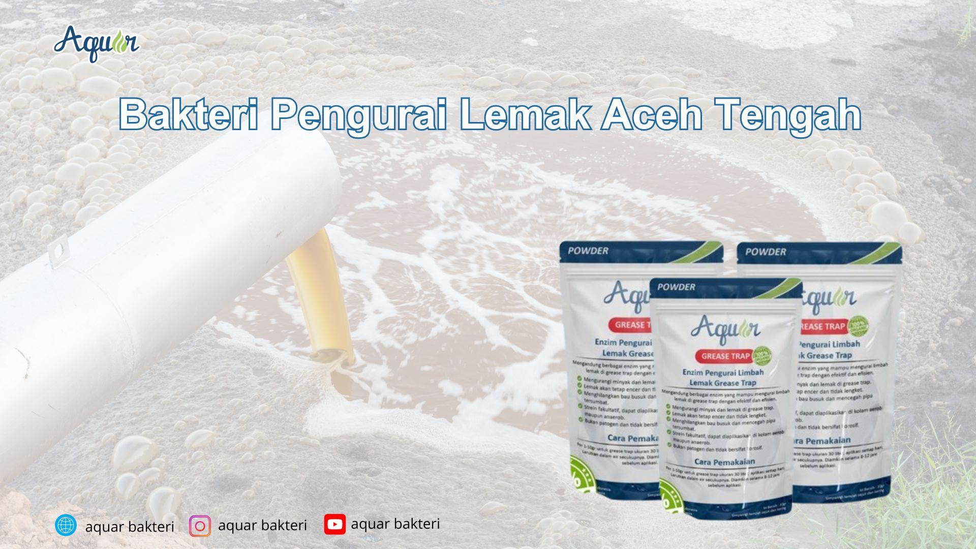Bakteri Pengurai Lemak Aceh Tengah