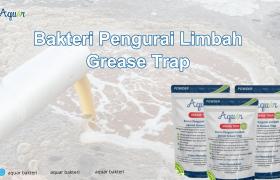 Bakteri Pengurai Limbah Grease Trap