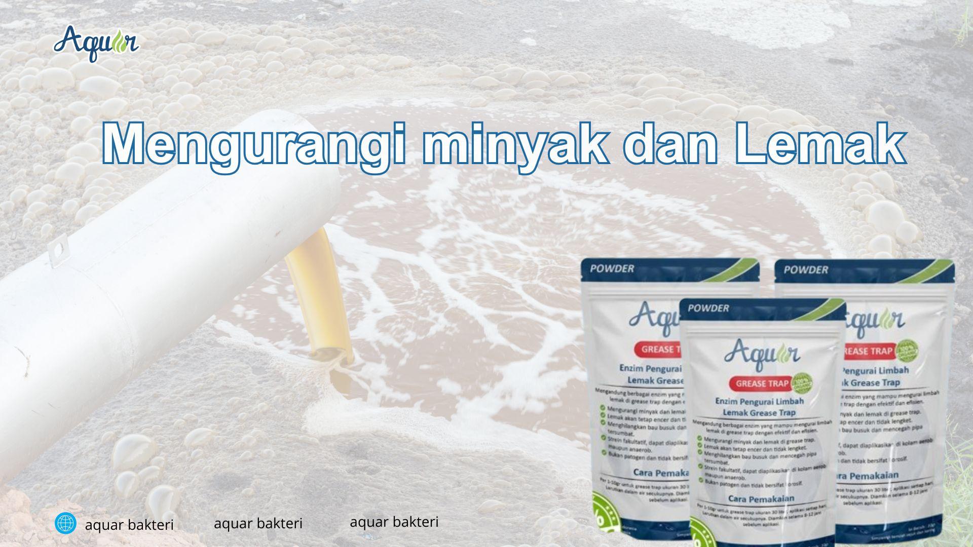 Mengurangi minyak dan Lemak