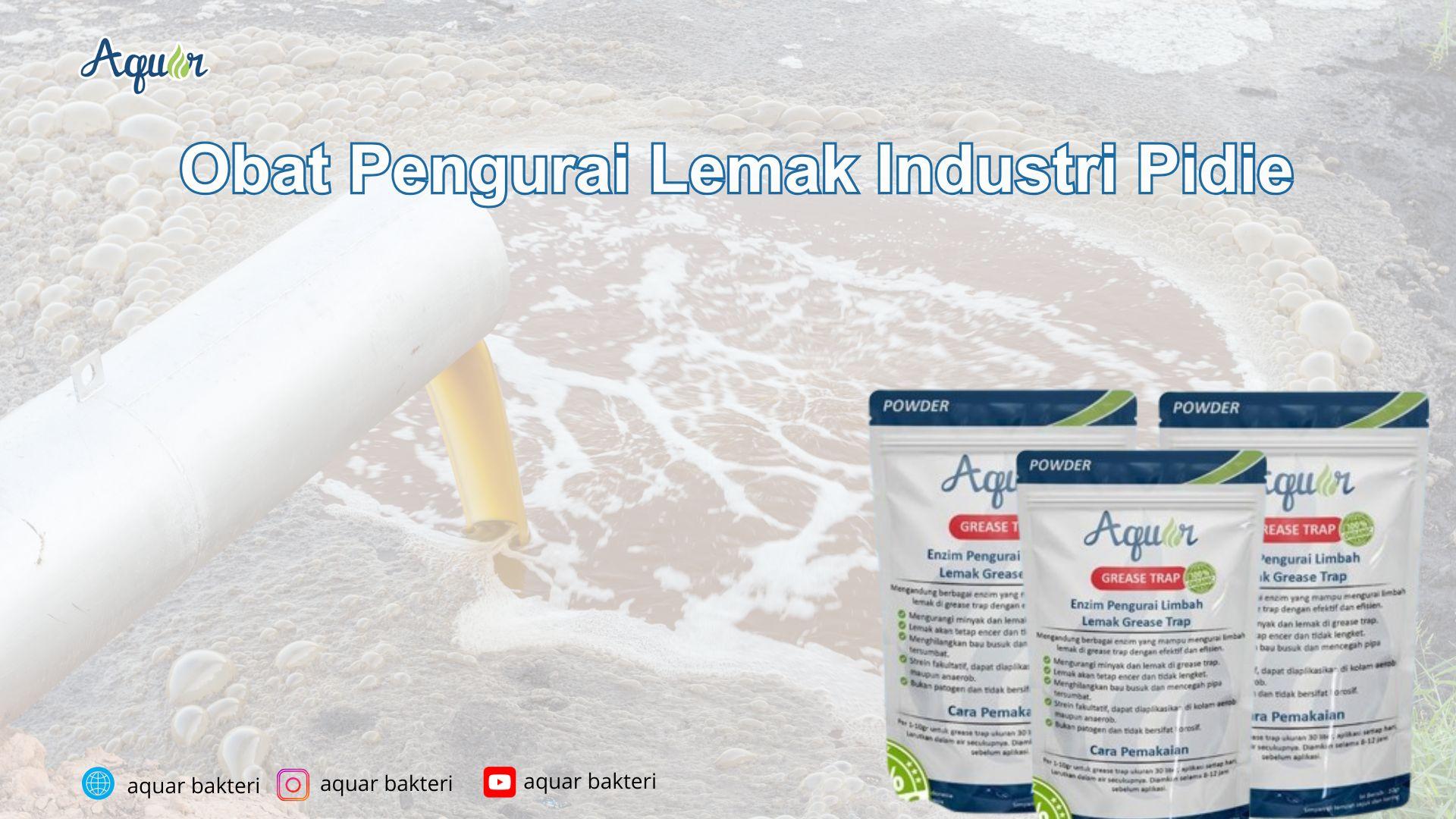 Obat Pengurai Lemak Industri Pidie