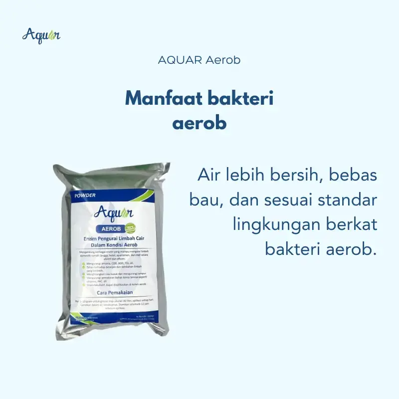 bakteri aerob