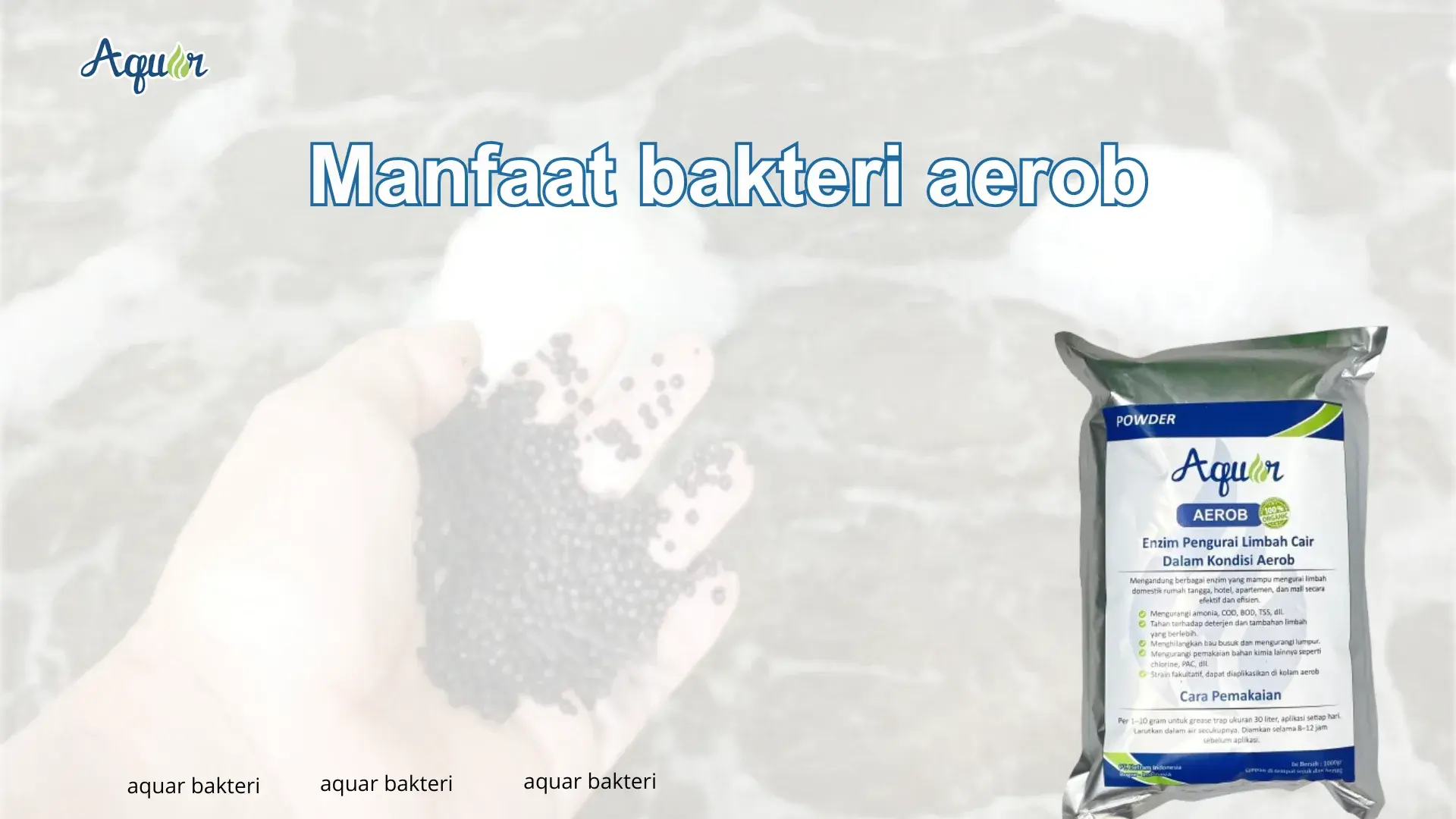 Manfaat bakteri aerob