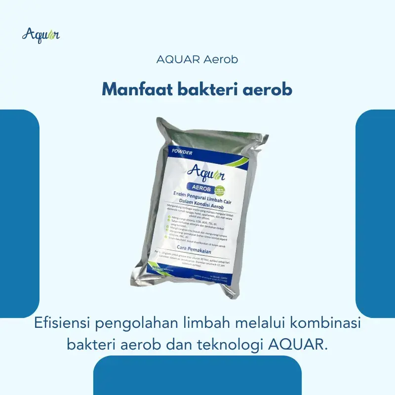 Manfaat bakteri aerob